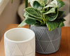 Pot losange lignes de couleurs | gris ligne or| Zen-it