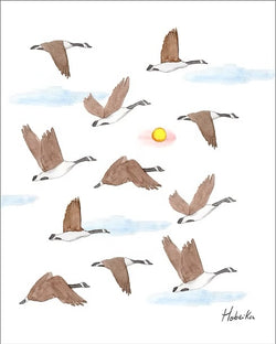 Illustration | Bernaches | Hobeika Art