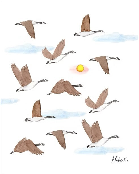 Illustration | Bernaches | Hobeika Art