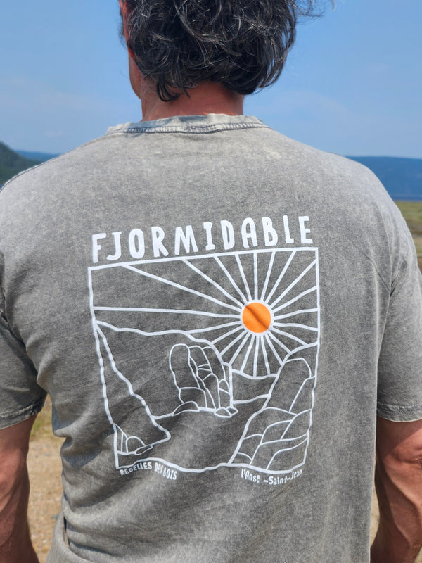 T-shirt délavé | Fjormidable | Lago