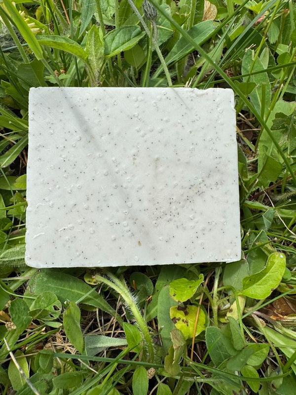 Savon Belle Cougar | Savonnerie diligences