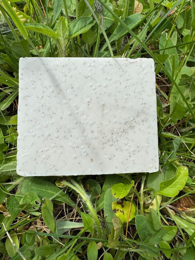 Savon Belle Cougar | Savonnerie diligences