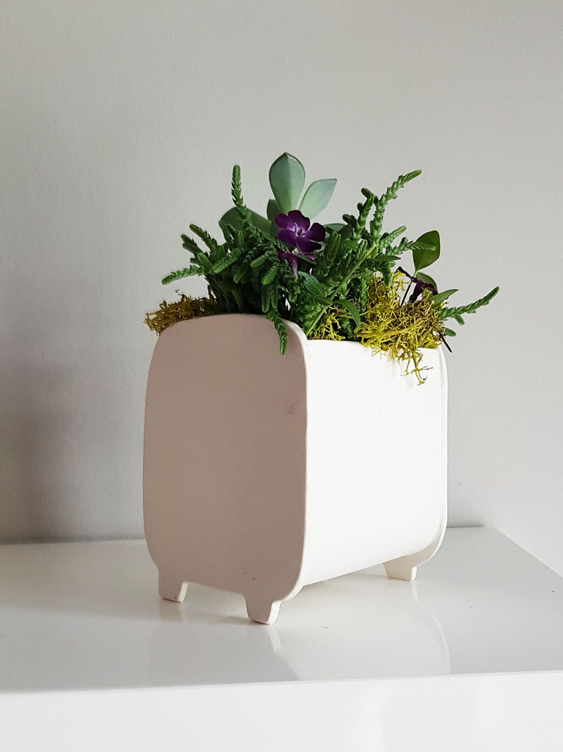 Cache pot chat | Julie Richard céramiste