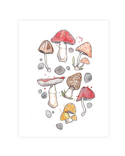 Illustration | Champis | Marie-Ève Arpin
