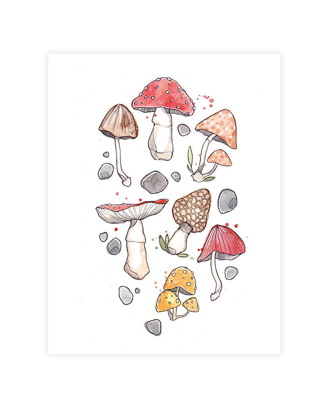 Illustration | Champis | Marie-Ève Arpin