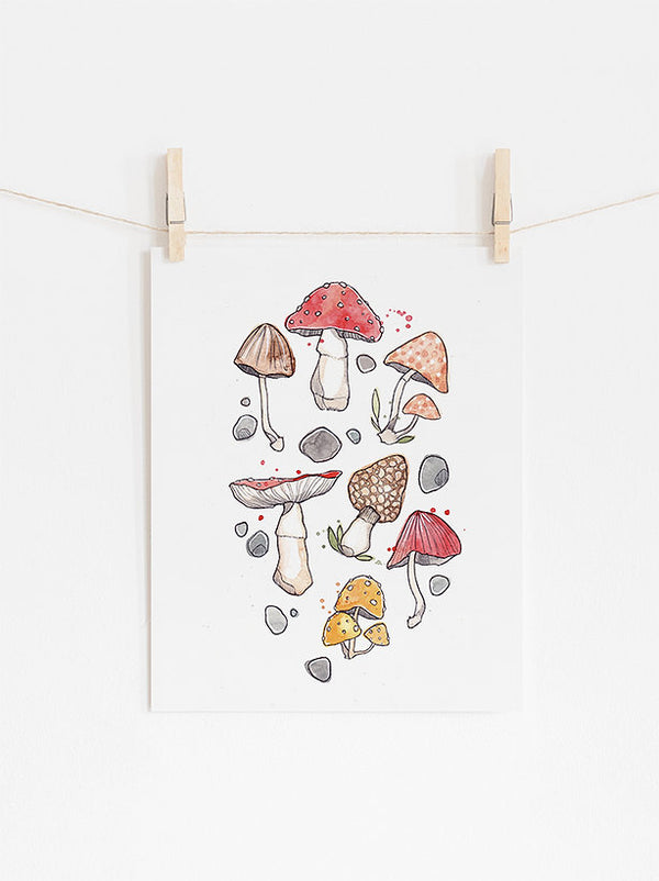 Illustration | Champis | Marie-Ève Arpin