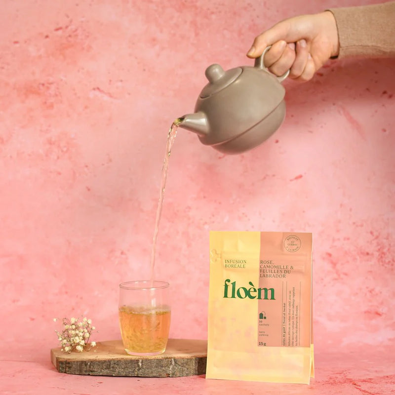Infusion boréal | Floèm | Les délices de l'iles d'orléans