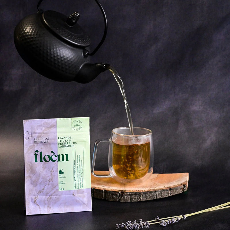 Infusion boréal | Floèm | Les délices de l'iles d'orléans