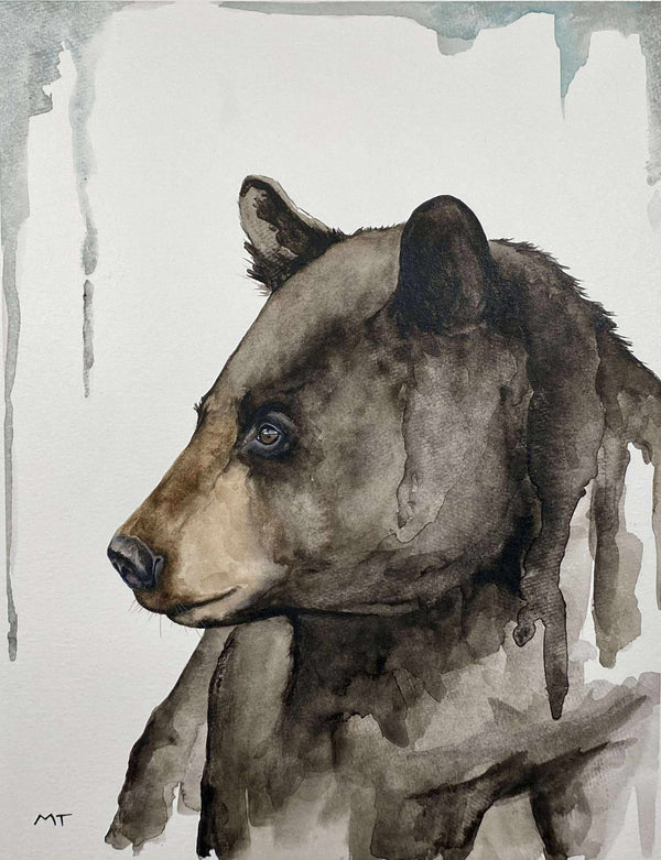 Illustration | Ours noir | Arima design