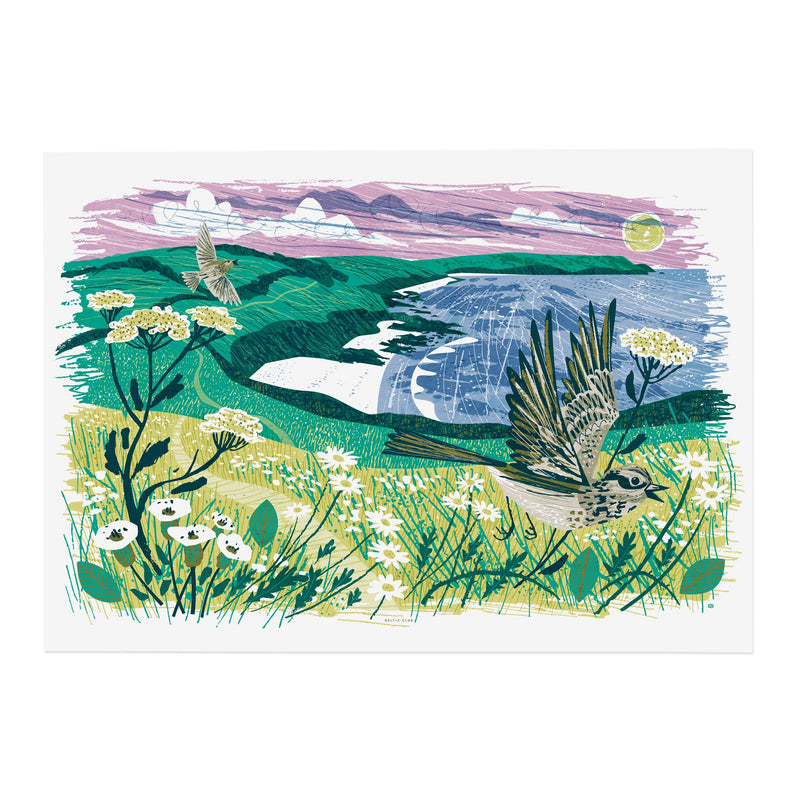 Illustration Alouettes de la Baie de Gerrans  | BALTIC CLUB