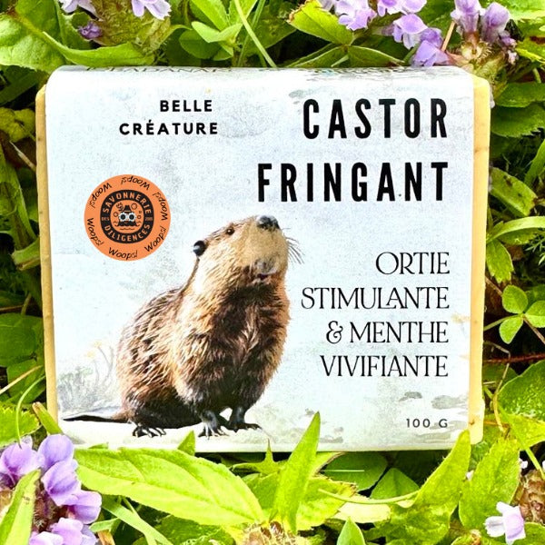 Savon Castor Fringant | Savonnerie diligences