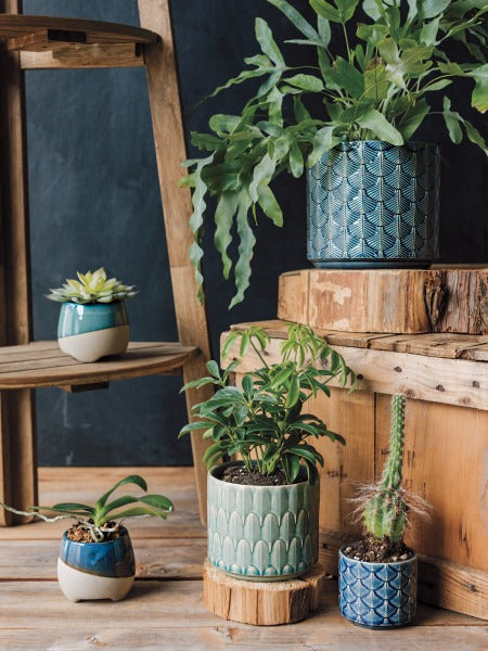 Pot pour plante | Plume Green Med | Danica