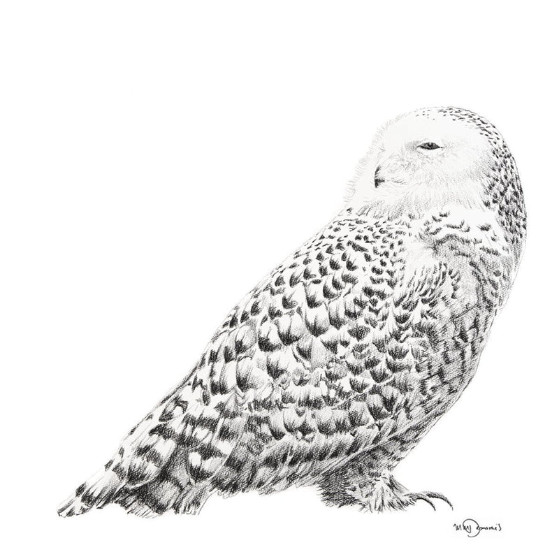 Illustration | Harfang des neiges | Le Nid atelier