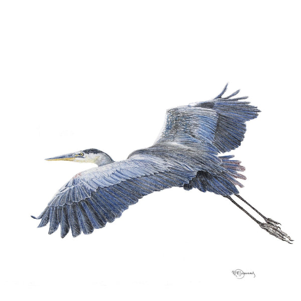 Illustration | Grand héron | Le Nid atelier