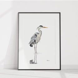 Illustration | Grand héron bleu en marche | Le Nid atelier