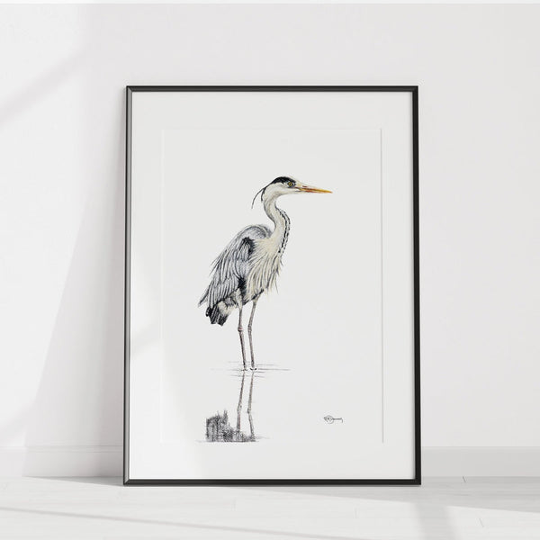 Illustration | Grand héron bleu en marche | Le Nid atelier