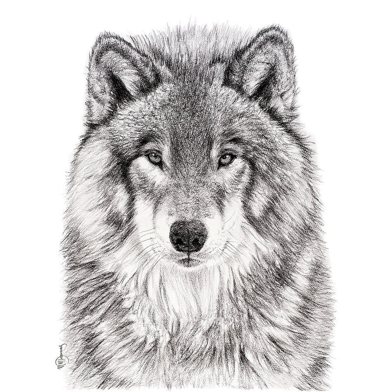 Illustration | Loup | Le Nid atelier