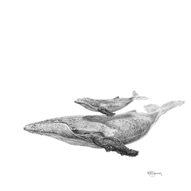 Illustration | Baleine avec son bébé | Le Nid atelier