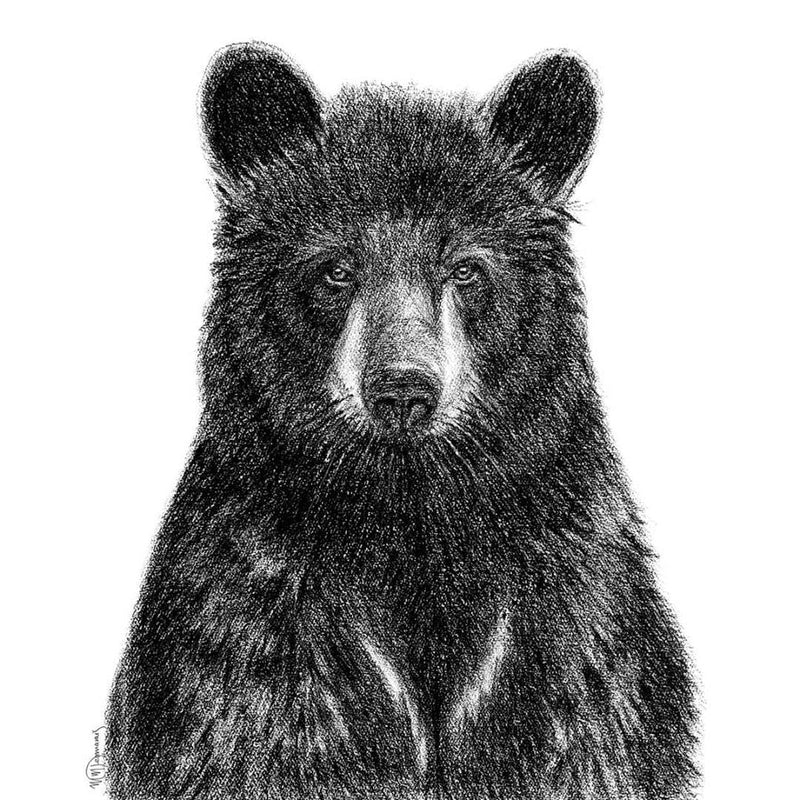Illustration | Ours | Le Nid atelier
