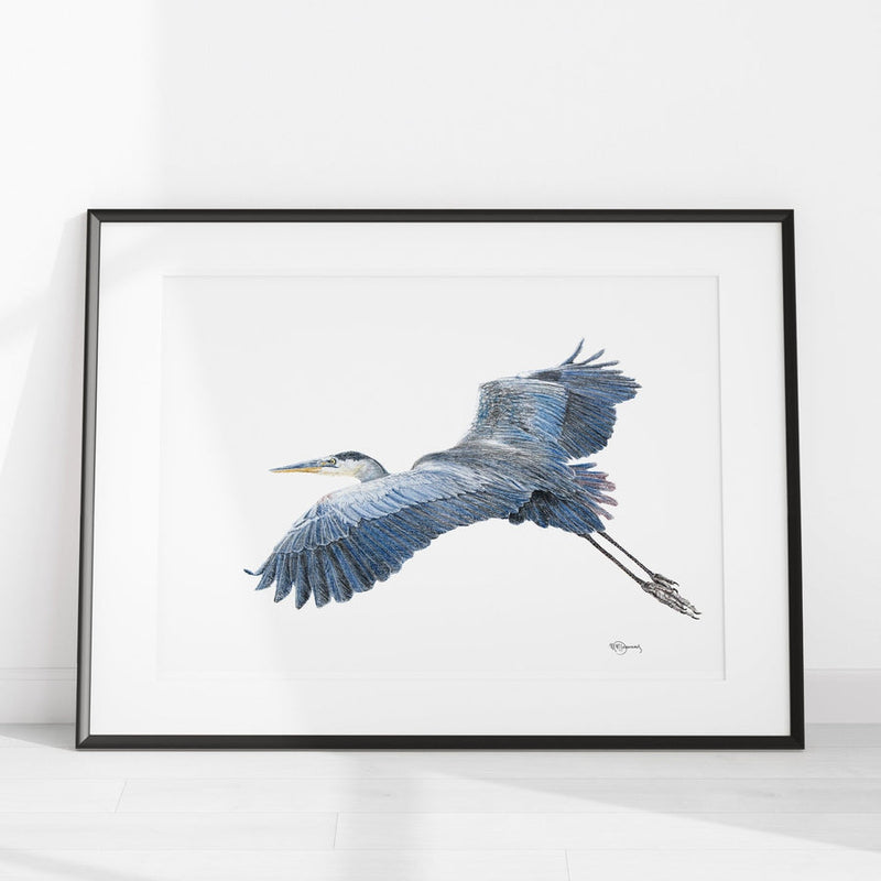 Illustration | Grand héron | Le Nid atelier