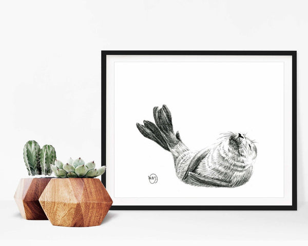Illustration | Bébé phoque | Le Nid atelier