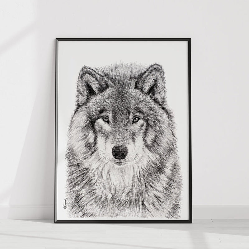 Illustration | Loup | Le Nid atelier