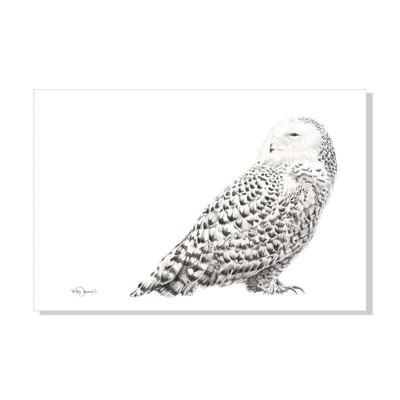 Illustration | Harfang des neiges | Le Nid atelier