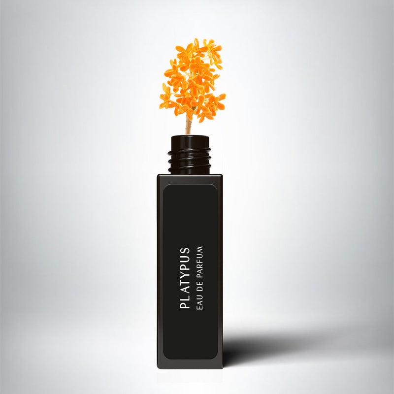 Parfum | 10ml | Kanopé