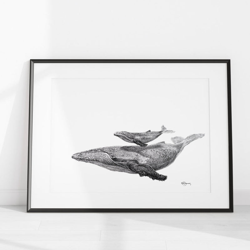 Illustration | Baleine avec son bébé | Le Nid atelier