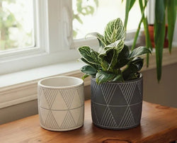 Pot losange lignes de couleurs | gris ligne or| Zen-it