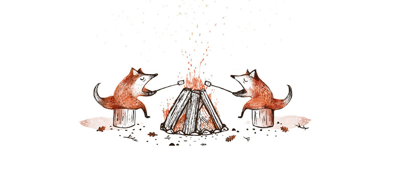 Illustration | Feu de camp | Geneviève Andersen