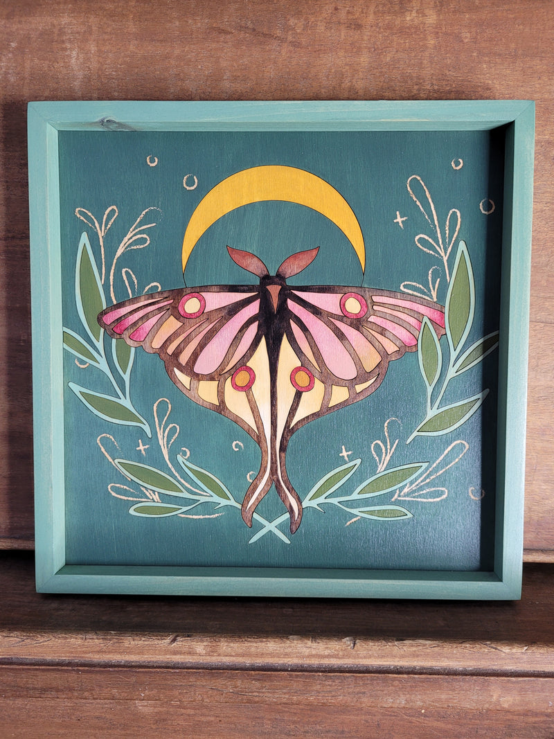 Tableau Papillon de nuit 03 | 12X12 | RDB Design