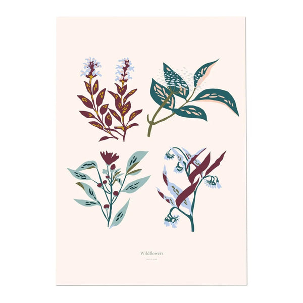 Illustration Wildflowers | Baltic club
